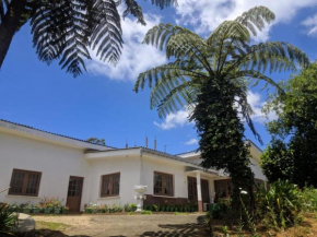 Acme Divine View, Hawaeliya